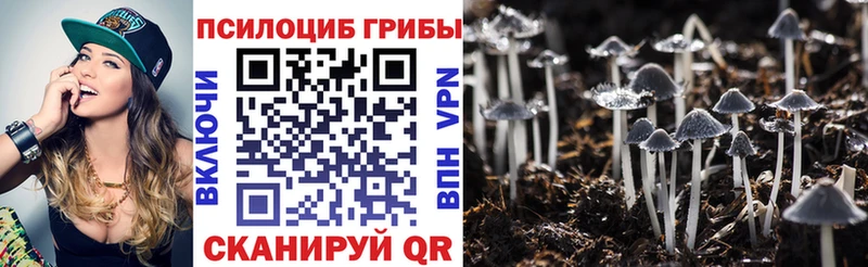 Галлюциногенные грибы Psilocybine cubensis  Киселёвск 